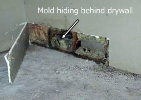Mold Hiding Behind Drywall